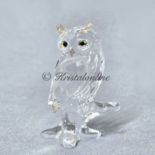 Owl - 2014